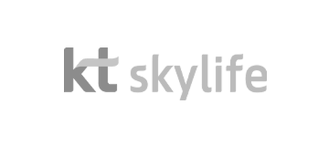 KT skylife